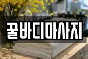 꿀바디마사지