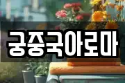 궁중국아로마