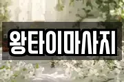 왕타이마사지