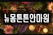 뉴몸튼튼안마원