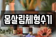 몸살림체형수기
