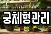 궁체형관리