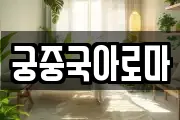 궁중국아로마
