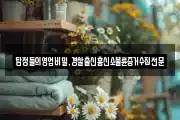 탐정들의영업비밀,경찰출신흥신소불륜증거수집전문