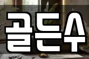 골든수