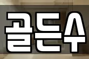 골든수