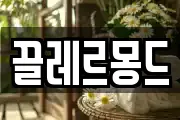 끌레르몽드