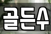 골든수