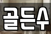골든수