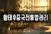 황태후중국전통발관리