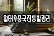 황태후중국전통발관리