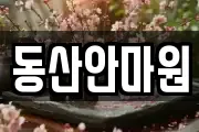 동산안마원
