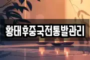 황태후중국전통발관리