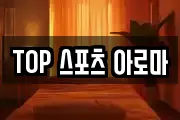 TOP 스포츠 아로마