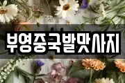 부영중국발맛사지
