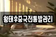 황태후중국전통발관리