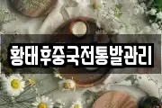 황태후중국전통발관리