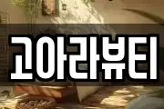고아라뷰티