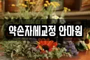 약손자세교정 안마원