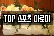 TOP 스포츠 아로마