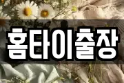 홈타이출장
