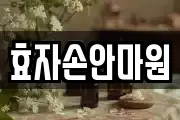 효자손안마원