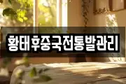 황태후중국전통발관리