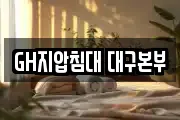 GH지압침대 대구본부