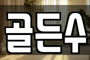 골든수