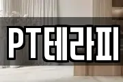 PT테라피