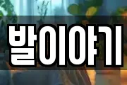 발이야기