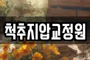 척추지압교정원