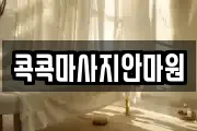 콕콕마사지안마원