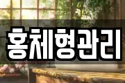 홍체형관리