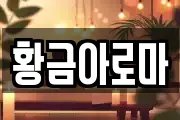 황금아로마