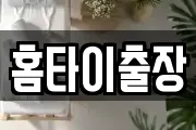 홈타이출장