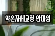 약손자세교정 안마원