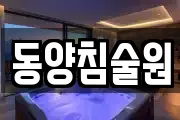 동양침술원