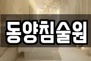 동양침술원