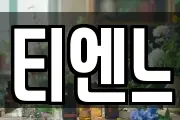 티엔느