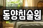 동양침술원