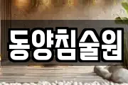동양침술원