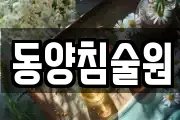 동양침술원