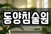 동양침술원