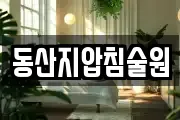 동산지압침술원