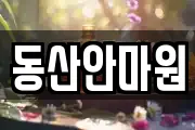 동산안마원