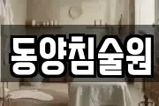 동양침술원