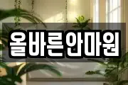 올바른안마원