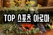 TOP 스포츠 아로마