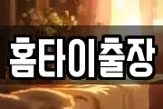 홈타이출장